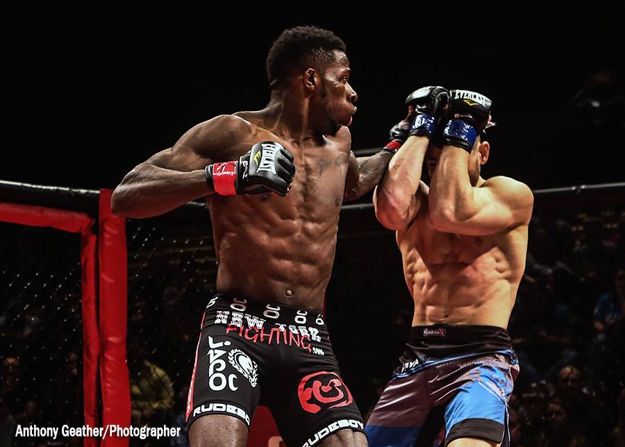 The Rise of Mixed Martial Arts in Jamaica: From Grassroots Passion to National Momentum