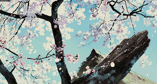 Learning Japanese Culture: A Journey Beyond Language